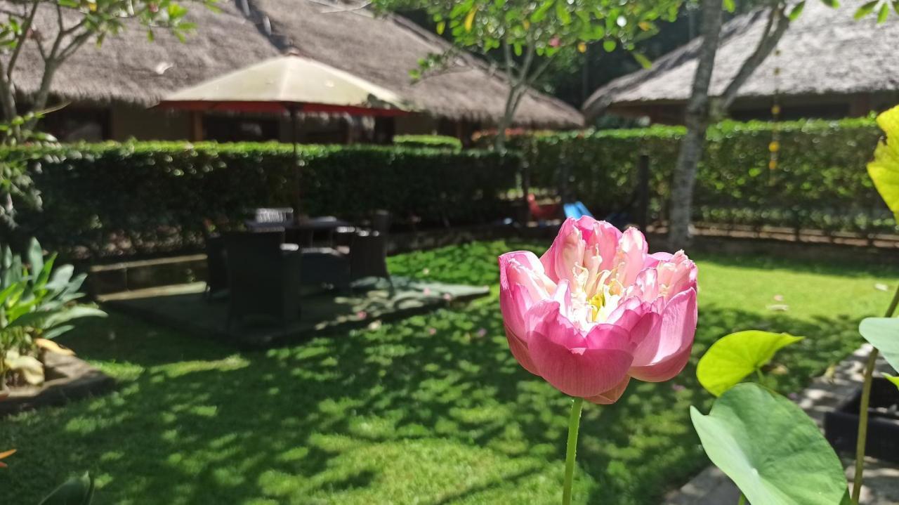 Mama Bella's Retreat